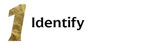 Identify One